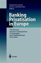 Anderloni, Anderloni, Luisa Anderloni, Robert Ruozi, Roberto Ruozi - Banking Privatisation in Europe
