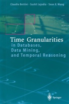 Claudi Bettini, Claudio Bettini, Sushi Jajodia, Sushil Jajodia, Sean Wang, X. Sean Wang - Time Granularities in Databases, Data Mining, and Temporal Reasoning