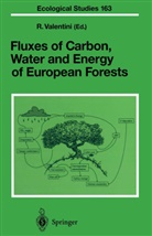 Riccard Valentini, Riccardo Valentini - Fluxes of Carbon, Water and Energy of European Forests