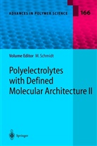 Manfre Schmidt, Manfred Schmidt - Polyelectrolytes with Defined Molecular Architecture II