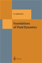 Giovanni Gallavotti - Foundations of Fluid Dynamics