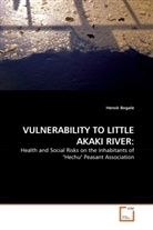 Henok Bogale - VULNERABILITY TO LITTLE AKAKI RIVER: