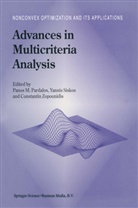 Panos Pardalos, Panos M. Pardalos, Siskos, Y Siskos, Y. Siskos, Yannis Siskos... - Advances in Multicriteria Analysis