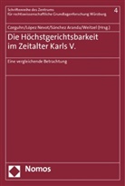 José Antonio López Nevot, Ignacio Czeguhn, José A. López Nevot, José Antonio López Nevot, Antonio Sánchez Aranda, Anto Sánchez Aranda u a... - Die Höchstgerichtsbarkeit im Zeitalter Karls V.