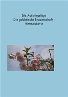 Petra Himmelsbotin - Die Aufstiegslüge