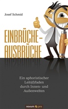Josef Schmid - Einbrüche - Ausbrüche