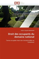 Isidore L. Miendjiem, Isidore Léopold Miendjiem, Miendjiem-I - Droit des occupants du domaine