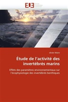 Olivier Maire, Maire-O - Etude de l activite des
