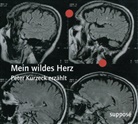 Peter Kurzeck, Klaus Sander - Mein wildes Herz, 2 Audio-CDs (Audiolibro)