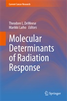 Theodore L. Deweese, Theodor L DeWeese, Theodore L DeWeese, Laiho, Laiho, Marikki Laiho - Molecular Determinants of Radiation Response