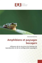 Alexandre Boissinot, Boissinot-A - Amphibiens et paysages bocagers