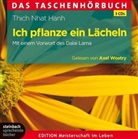 Thich Nhat Hanh, Axel Wostry, Axel Sprecher: Wostry - Ich pflanze ein Lächeln, 3 Audio-CDs (Hörbuch)