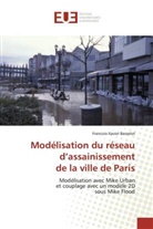 Francois-Xavier Basselot, Basselot-F - Modelisation du reseau d