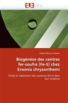 Gabriel Rincón Enríquez, Rincon Enriquez-G - Biogenese des centres fer soufre