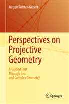 Jürgen Richter-Gebert - Perspectives on Projective Geometry