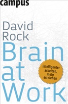 David Rock, Daniel J. Siegel, Nicole Hölsken - Brain at Work