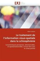 Céline Cavézian, Cavezian-C - Le traitement de l information