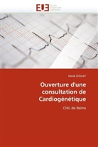 David LEGUAY, Leguay-D - Ouverture d une consultation de