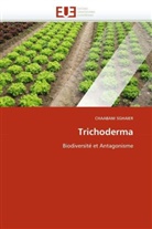 CHAABANI SGHAIER, Sghaier-C - Trichoderma