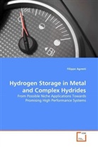 Filippo Agresti - Hydrogen Storage in Metal and Complex Hydrides