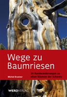 Michel Brunner - Wege zu Baumriesen