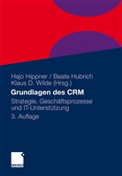 Klaus D Wilde, Hippne, Hajo Hippner, Hubric, Beat Hubrich, Beate Hubrich... - Grundlagen des CRM
