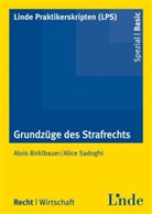 Aloi Birklbauer, Alois Birklbauer, Alice Sadoghi, PMM Sadoghi, Werne Hauser, Werner Hauser - Grundzüge des Strafrechts (f. Österreich)