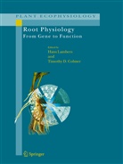Timothy D. Colmer, D Colmer, D Colmer, Han Lambers, Hans Lambers - Root Physiology: from Gene to Function