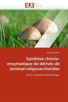 Emilie MONTEL, Montel-E - Synthese chimio enzymatique de