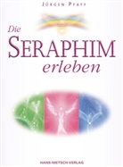 Jürgen Pfaff - Die Seraphim erleben