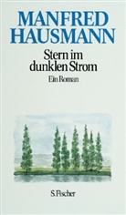 Manfred Hausmann - Stern im dunklen Strom