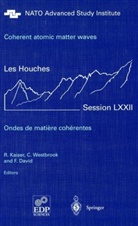 F David, F. David, R. Kaiser, Westbrook, C Westbrook, C. Westbrook - Coherent atomic matter waves - Ondes de matiere coherentes