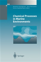 Antonio Gianguzza, Ezi Pelizzetti, Ezio Pelizzetti, Silvio Sammartano - Chemical Processes in Marine Environments
