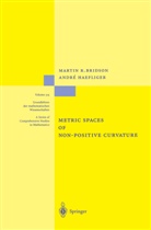 Martin Bridson, Martin R Bridson, Martin R. Bridson, André Häfliger - Metric Spaces of Non-Positive Curvature
