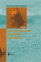 Fred Punzo - Desert Arthropods: Life History Variations