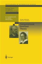 Har Derksen, Harm Derksen, Gregor Kemper - Computational Invariant Theory