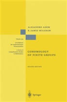 Alejandr Adem, Alejandro Adem, James R. Milgram, R James Milgram, R. James Milgram - Cohomology of Finite Groups