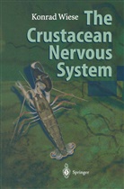 Konra Wiese, Konrad Wiese - The Crustacean Nervous System