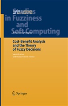Kofi Kissi Dompere, Kofi Kissi Dompere - Cost-Benefit Analysis and the Theory of Fuzzy Decisions