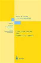 David Adams, David R Adams, David R. Adams, Lars I Hedberg, Lars I. Hedberg, Lars Inge Hedberg - Function Spaces and Potential Theory