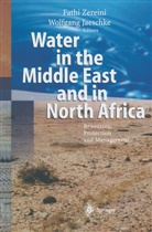 Jaeschke, Jaeschke, Wolfgang Jaeschke, Fath Zereini, Fathi Zereini - Water in the Middle East and in North Africa
