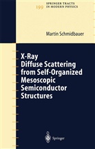 Martin Schmidbauer - X-Ray Diffuse Scattering from Self-Organized Mesoscopic Semiconductor Structures