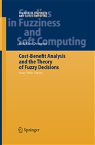 Kofi Kissi Dompere, Kofi Kissi Dompere - Cost-Benefit Analysis and the Theory of Fuzzy Decisions