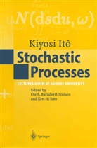 Kiyosi Ito, Kiyosi Itô, Ole E Barndorff-Nielsen, Ole E. Barndorff-Nielsen, Ole Eiler Barndorff-Nielsen, Ol E Barndorff-Nielsen... - Stochastic Processes