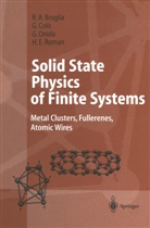 R Broglia, R a Broglia, R. A. Broglia, R.A. Broglia, Ricardo A. Broglia, Coló... - Solid State Physics of Finite Systems