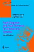 Fabrizi Caccavale, Fabrizio Caccavale, Villani, Villani, Luigi Villani - Fault Diagnosis and Fault Tolerance for Mechatronic Systems: Recent Advances