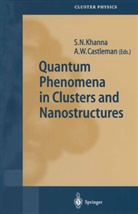 A. W. Castleman, S. N. Khanna, Albert W Castleman, Albert W. Castleman, Shiv N. Khanna, Shi N Khanna... - Quantum Phenomena in Clusters and Nanostructures