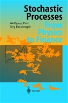 Jörg Baschnagel, Wolfgan Paul, Wolfgang Paul - Stochastic Processes
