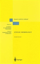 Jean-Louis Loday - Cyclic Homology
