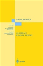 Jürgen Neukirch, Norbert Schappacher - Algebraic Number Theory